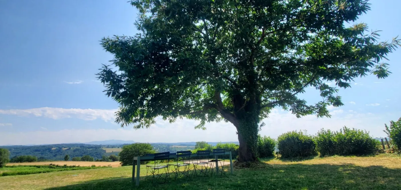 Le grand châtaignier du parc et son salon de jardin, face au panorama